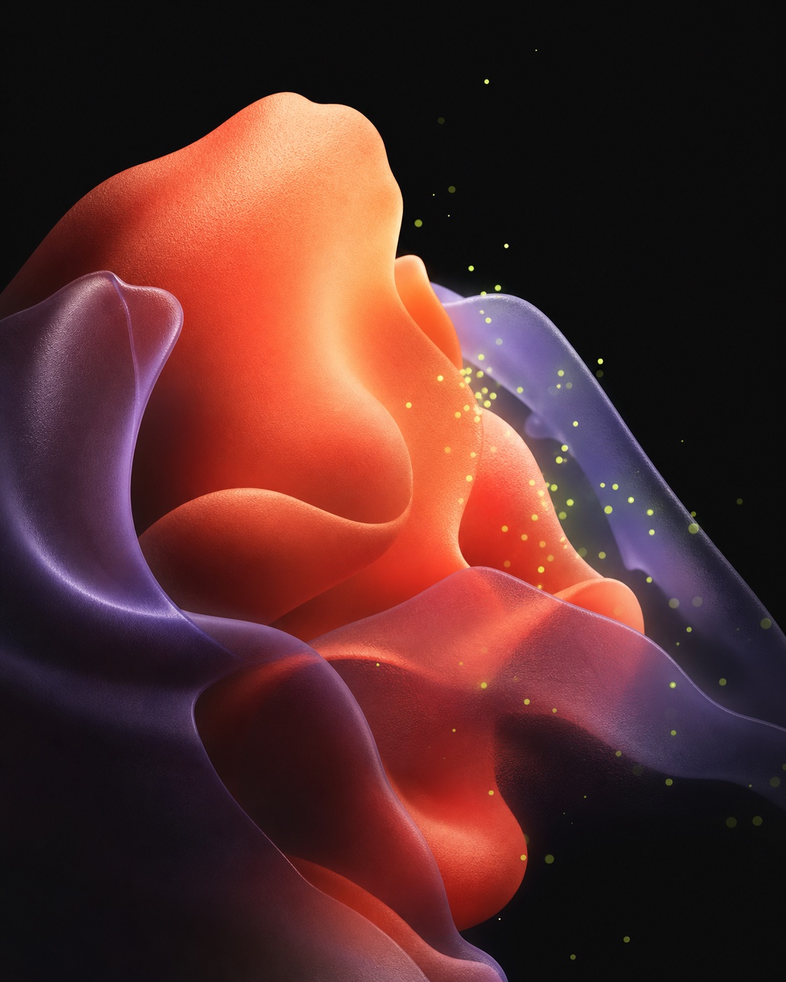 Coral and violet biomorphic forms suspended in a dark field